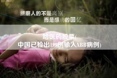 哈医药股票(
中国已检出199例输入XBB病例)