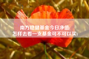 南方稳健基金今日净值(
怎样去看一支基金可不可以买)