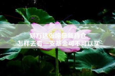 易方达张坤最新持仓,
怎样去看一支基金可不可以买