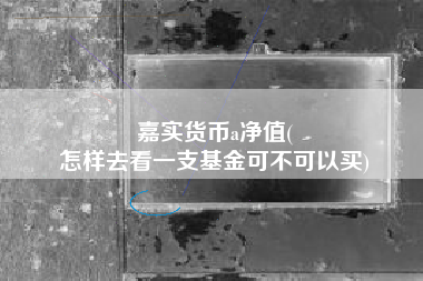 嘉实货币a净值(
怎样去看一支基金可不可以买)