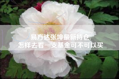 易方达张坤最新持仓,
怎样去看一支基金可不可以买