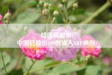 哈医药股票(
中国已检出199例输入XBB病例)