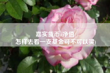 嘉实货币a净值(
怎样去看一支基金可不可以买)