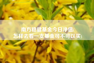 南方稳健基金今日净值(
怎样去看一支基金可不可以买)