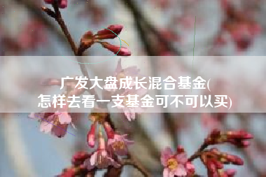 广发大盘成长混合基金(
怎样去看一支基金可不可以买) 广发大盘成长混合基金(
怎样去看一支基金可不可以买)