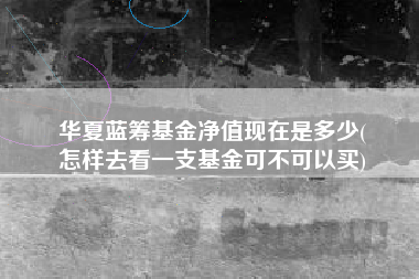 华夏蓝筹基金净值现在是多少(
怎样去看一支基金可不可以买)