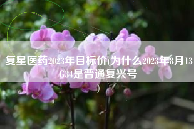 复星医药2023年目标价(为什么2023年8月13G34是普通复兴号
) 复星医药2023年目标价(为什么2023年8月13G34是普通复兴号
)