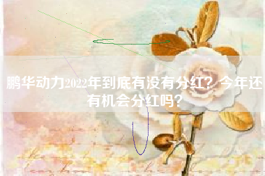 鹏华动力2022年到底有没有分红？今年还有机会分红吗？