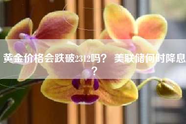 黄金价格会跌破2312吗？ 美联储何时降息？