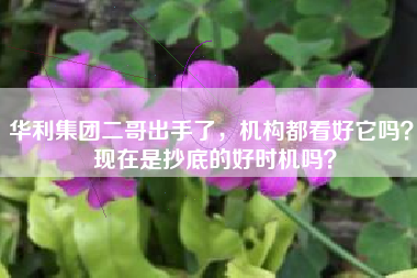 华利集团二哥出手了，机构都看好它吗？ 现在是抄底的好时机吗？