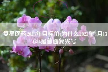 复星医药2023年目标价(为什么2023年8月13G34是普通复兴号
) 复星医药2023年目标价(为什么2023年8月13G34是普通复兴号
)
