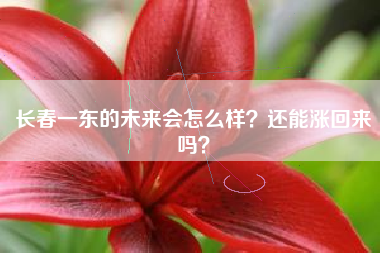 长春一东的未来会怎么样？还能涨回来吗？