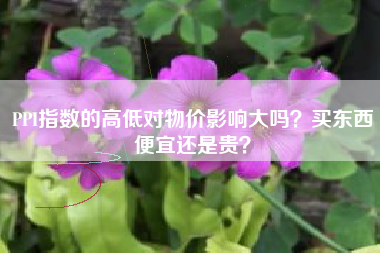 PPI指数的高低对物价影响大吗？买东西便宜还是贵？
