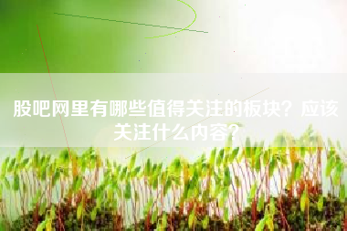 股吧网里有哪些值得关注的板块？应该关注什么内容？