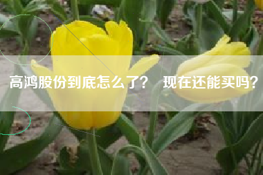 高鸿股份到底怎么了？  现在还能买吗？