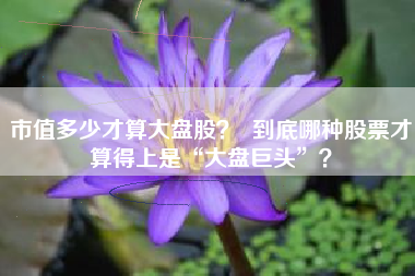 市值多少才算大盘股？  到底哪种股票才算得上是“大盘巨头”？