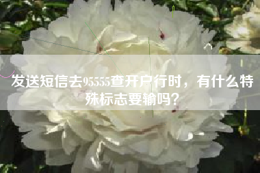 发送短信去95555查开户行时，有什么特殊标志要输吗？