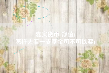 嘉实货币a净值(
怎样去看一支基金可不可以买)