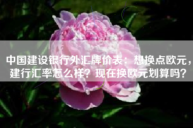 中国建设银行外汇牌价表：想换点欧元，建行汇率怎么样？现在换欧元划算吗？