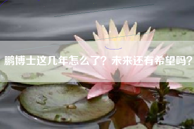 鹏博士这几年怎么了？未来还有希望吗？