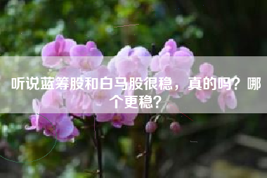 听说蓝筹股和白马股很稳，真的吗？哪个更稳？