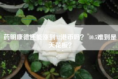 药明康德还能涨到32港币吗？ 40.5难到是天花板？