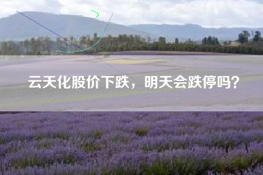 云天化股价下跌，明天会跌停吗？