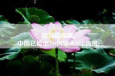 哈医药股票(
中国已检出199例输入XBB病例)