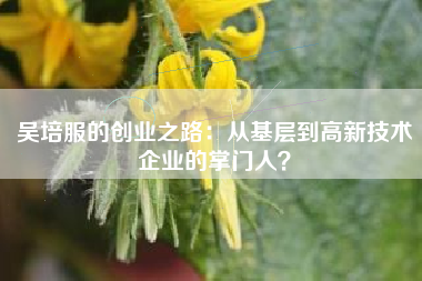 吴培服的创业之路：从基层到高新技术企业的掌门人？