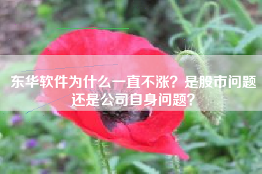 东华软件为什么一直不涨？是股市问题还是公司自身问题？