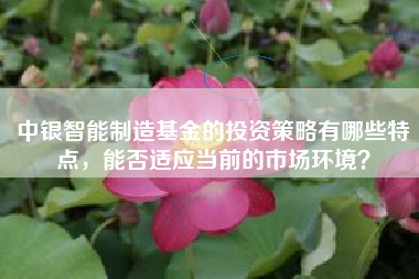 中银智能制造基金的投资策略有哪些特点，能否适应当前的市场环境？