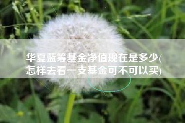 华夏蓝筹基金净值现在是多少(
怎样去看一支基金可不可以买)