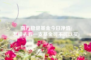 南方稳健基金今日净值(
怎样去看一支基金可不可以买)