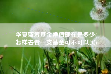 华夏蓝筹基金净值现在是多少(
怎样去看一支基金可不可以买)