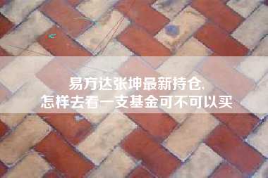 易方达张坤最新持仓,
怎样去看一支基金可不可以买