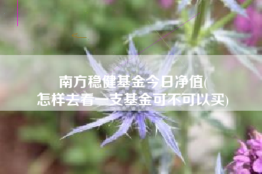 南方稳健基金今日净值(
怎样去看一支基金可不可以买)