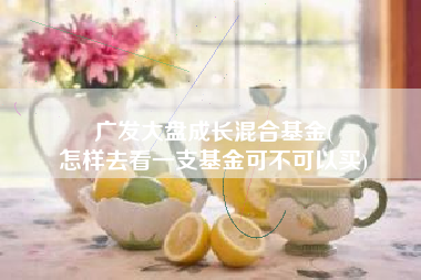 广发大盘成长混合基金(
怎样去看一支基金可不可以买) 广发大盘成长混合基金(
怎样去看一支基金可不可以买)