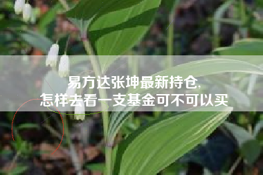 易方达张坤最新持仓,
怎样去看一支基金可不可以买