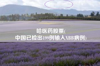 哈医药股票(
中国已检出199例输入XBB病例)
