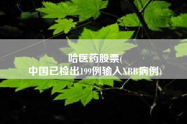 哈医药股票(
中国已检出199例输入XBB病例)