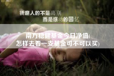 南方稳健基金今日净值(
怎样去看一支基金可不可以买)