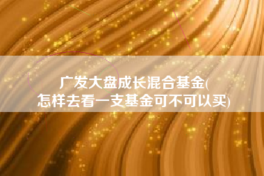 广发大盘成长混合基金(
怎样去看一支基金可不可以买) 广发大盘成长混合基金(
怎样去看一支基金可不可以买)