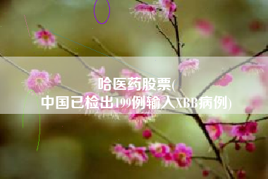 哈医药股票(
中国已检出199例输入XBB病例)