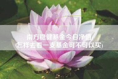 南方稳健基金今日净值(
怎样去看一支基金可不可以买)