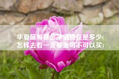 华夏蓝筹基金净值现在是多少(
怎样去看一支基金可不可以买)