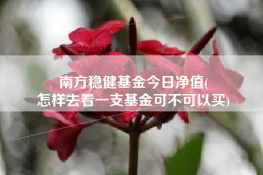 南方稳健基金今日净值(
怎样去看一支基金可不可以买)