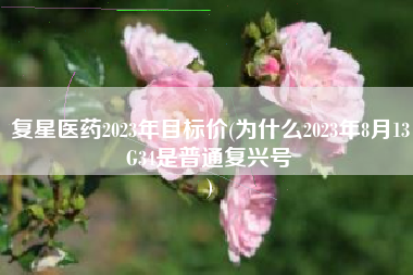 复星医药2023年目标价(为什么2023年8月13G34是普通复兴号
) 复星医药2023年目标价(为什么2023年8月13G34是普通复兴号
)