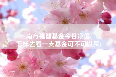 南方稳健基金今日净值(
怎样去看一支基金可不可以买)