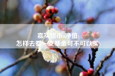 嘉实货币a净值(
怎样去看一支基金可不可以买)