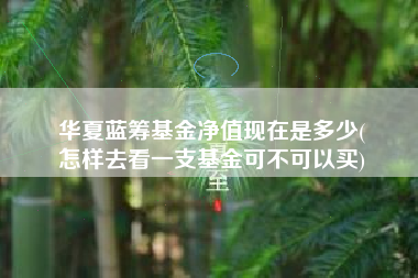 华夏蓝筹基金净值现在是多少(
怎样去看一支基金可不可以买)